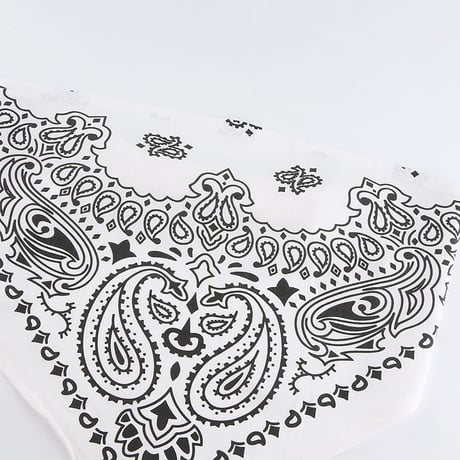 2色 Paisley Top