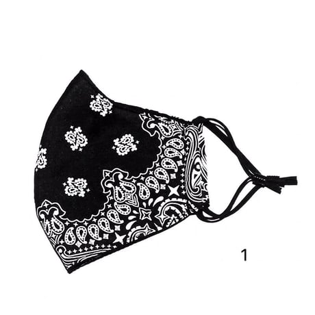 Paisley Pattern Cotton Masks