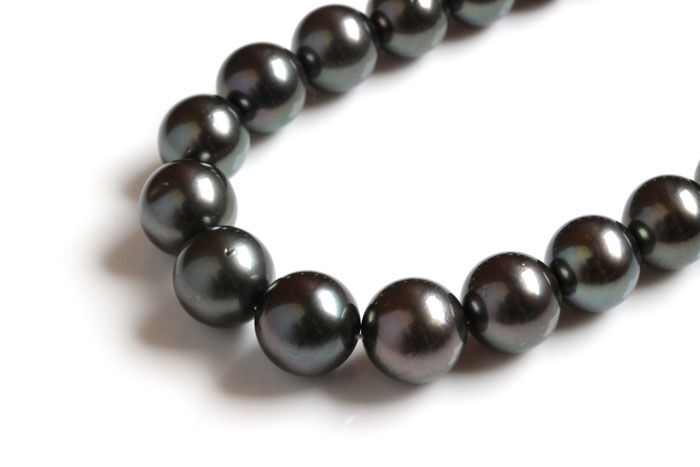黒蝶真珠8-11mmタヒチ産 | Littluz online store