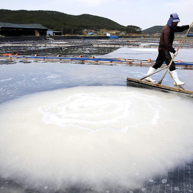 韓国 5年熟成天日塩 1キロ（500g×2） | キャンプリーダーでケアマネ