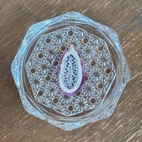 ガラスコースター（アケビ）