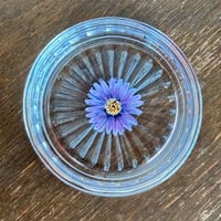 ガラスコースター（シオン）