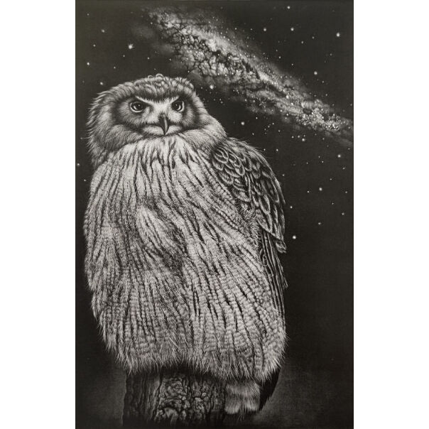 生田宏司 2004年「風に触れてⅣ」銅版画 メゾチント 額装 サイン