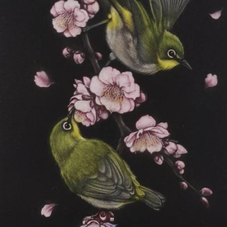 CATEGORY 銅版画 | 恵埜画廊STORE