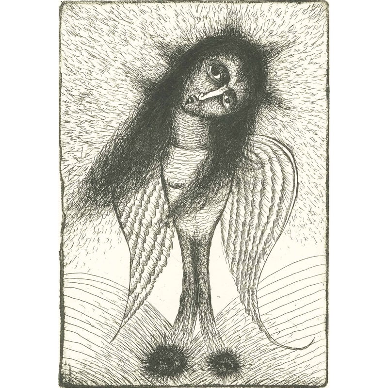 版画他写真の9点 東北芸術工科大学版画コース20周年記念版画集 24名の作家