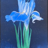 鴨居羊子 ！名作！油絵 『ロバのジョキート』絵画 1977年9月 個展 絵 美術 鴨居羊子 ！名作！油絵 『ロバのジョキート』絵画 1977年9月