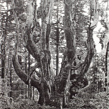 CATEGORY 木口木版画 | 恵埜画廊STORE