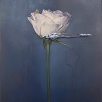 桜井浜江「樹」0号 額装込 | 恵埜画廊STORE