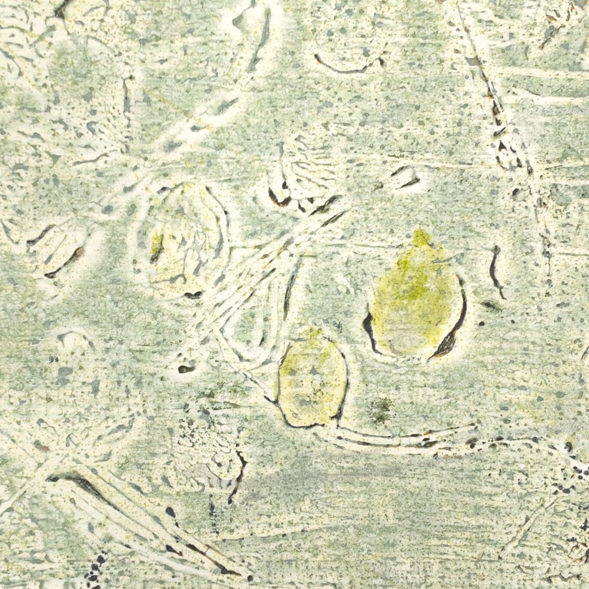 あるがあく 「芽吹く」 水性木版画・シルクスクリーン | 恵埜画廊STORE