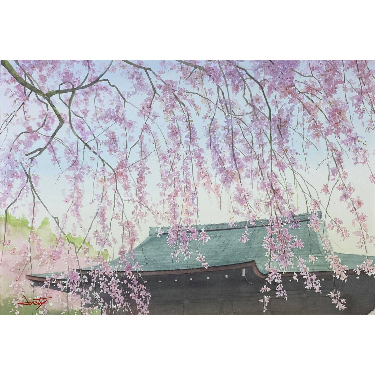 楽天市場】細タペストリー 紅しだれ桜 京都 洛柿庵 らくしあん