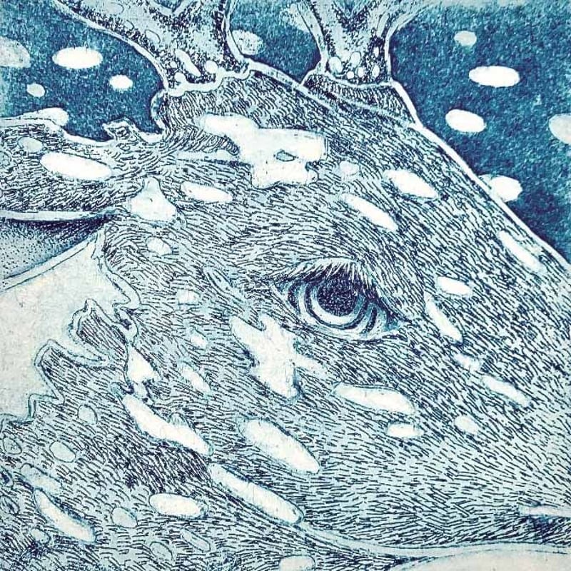 特価◯絵画　カラー銅版画　シ―ト 絵画 カラー銅版画 シ―ト 【公式通販】