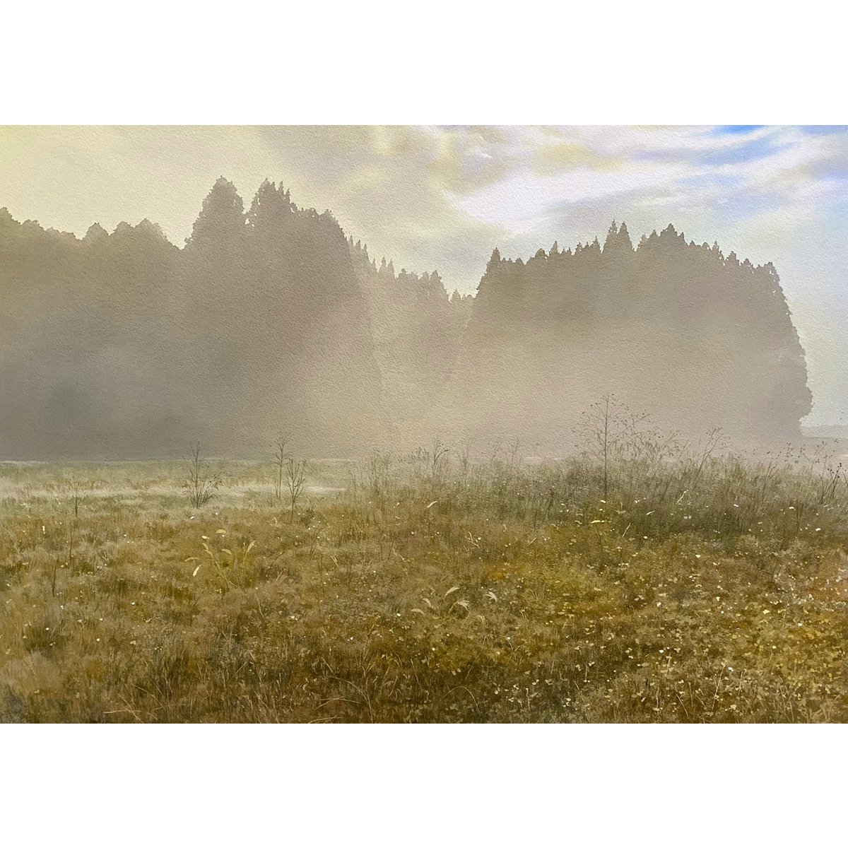 水彩画「霧晴れて―千枚田の朝」 風景画
