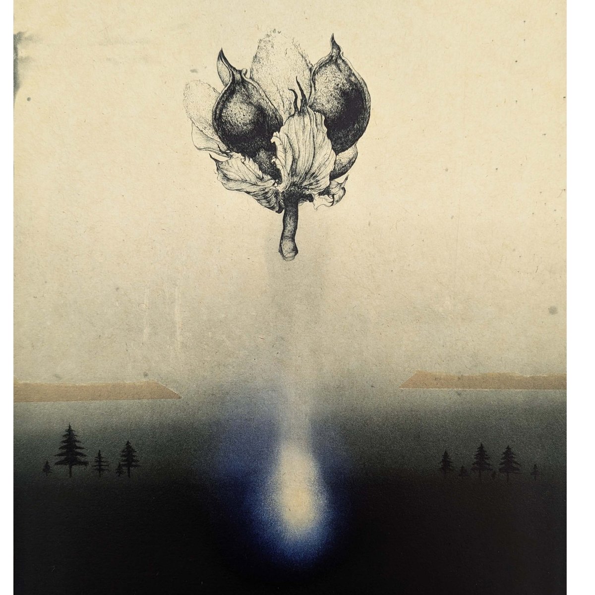 若月公平「暁光」〈山形展限定特別企画〉 | 恵埜画廊STORE