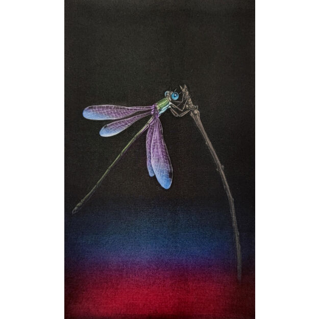 生田宏司 「蜻蛉」 銅版画(カラーメゾチント) 額装込 | 恵埜画廊STORE