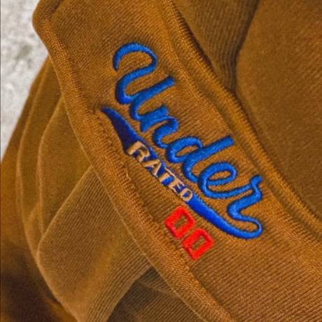 UNDERRATED Sweatsuit Brown