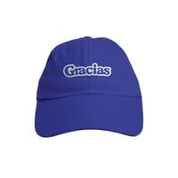 Thank you skateboarding - GRACIAS DAD HAT