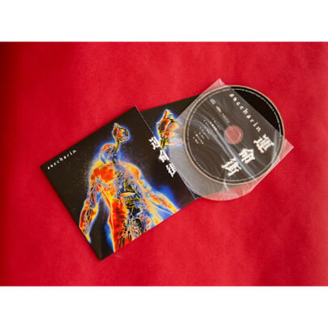 saccharin / 【CD】1st ALBUM 運命街
