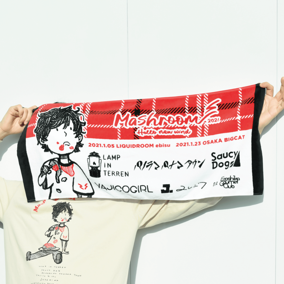 5fc4553adf51597cccd20147