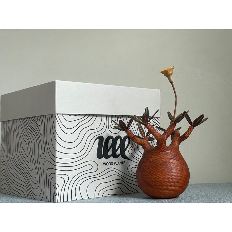 MOCMOC グラキリス sizeS 彫り】パキポディウム Pachypodium | MOCMOC wooden