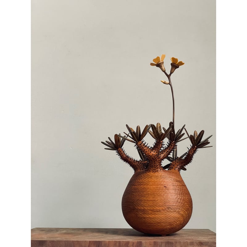MOCMOC wooden craft