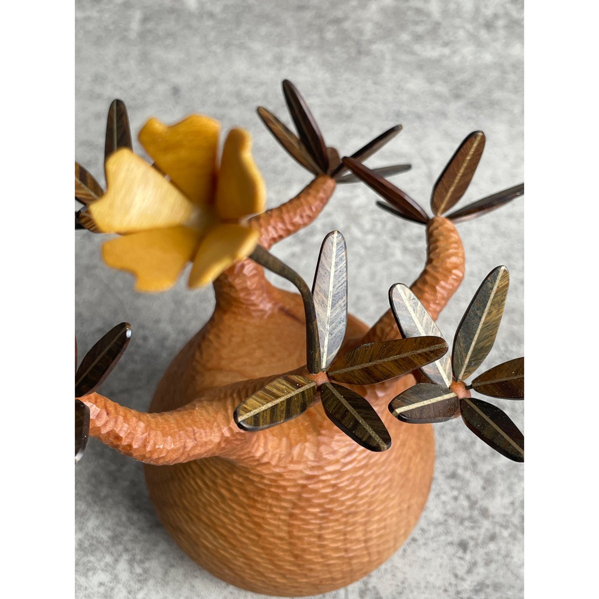 11【sizeS】パキポディウム Pachypodium | MOCMOC wooden c