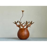 11【sizeS】パキポディウム Pachypodium | MOCMOC wooden c