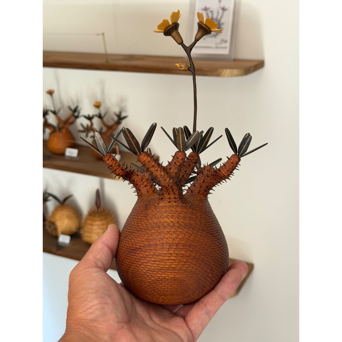 新品　TMpaint キャンバス　アート　パキポディウム 彫棘大】パキポディウム Pachypodium | MOCMOC wooden craft