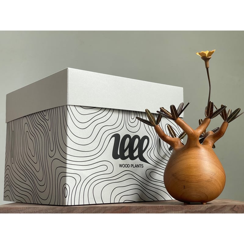 24【sizeS】パキポディウム Pachypodium | MOCMOC wooden c