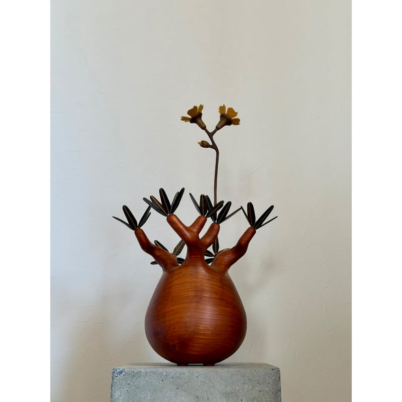 パキポディウム Pachypodium 大 | MOCMOC wooden craft