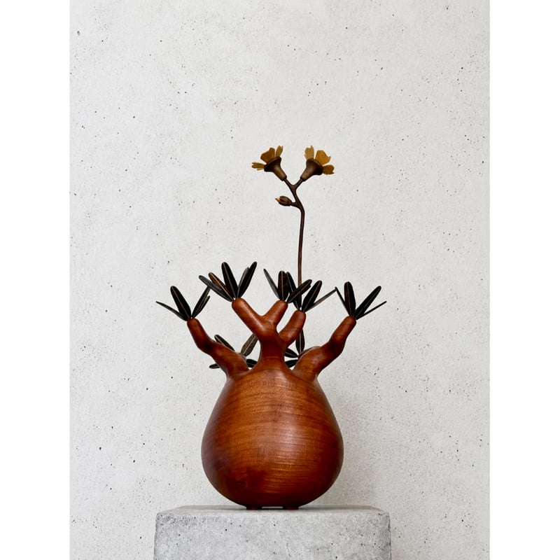パキポディウム Pachypodium 大 | MOCMOC wooden craft