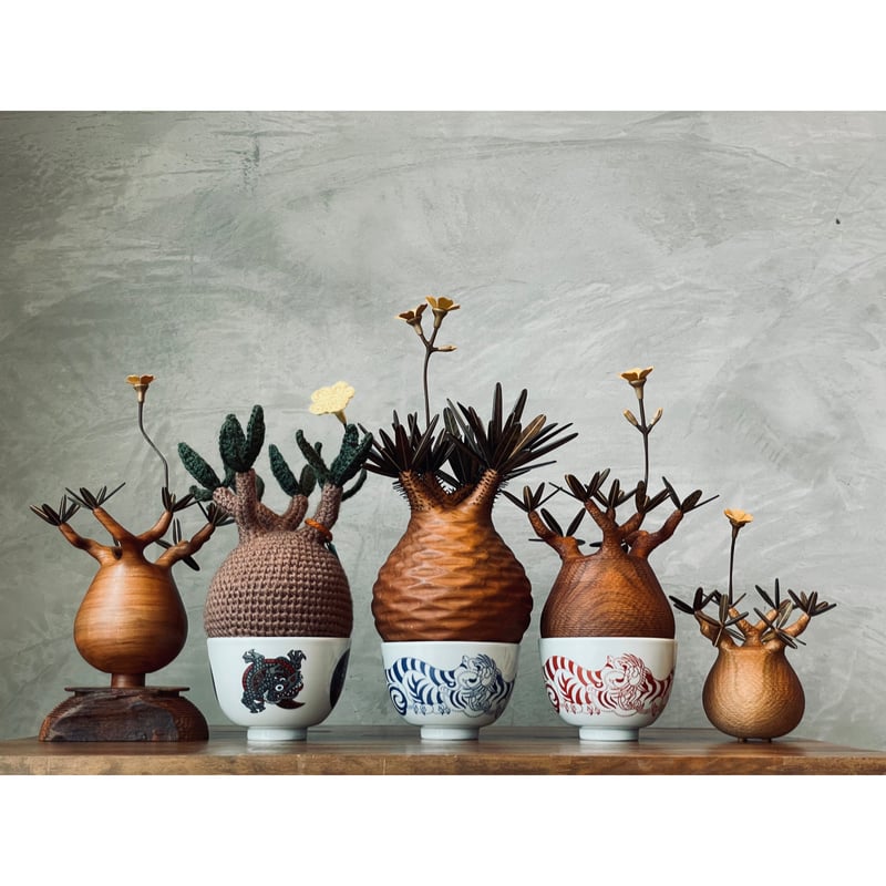 24【sizeS】パキポディウム Pachypodium | MOCMOC wooden c