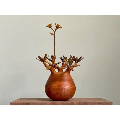 CATEGORY 木植(Wood Plants) | MOCMOC wooden craft