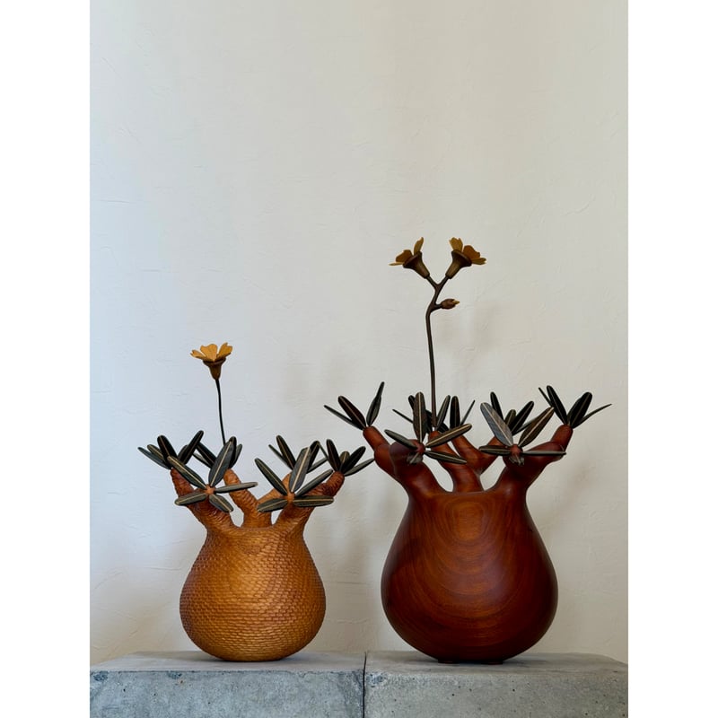 パキポディウム Pachypodium 大 | MOCMOC wooden craft