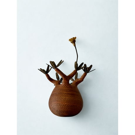 MOCMOC wooden craft