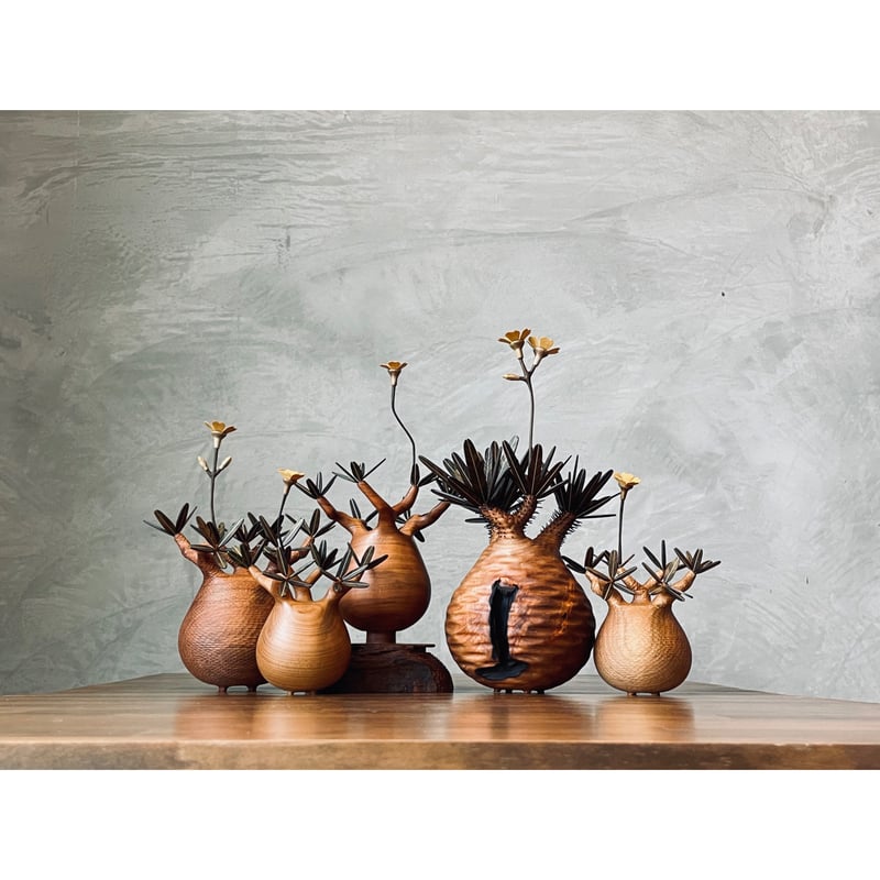 24【sizeS】パキポディウム Pachypodium | MOCMOC wooden c