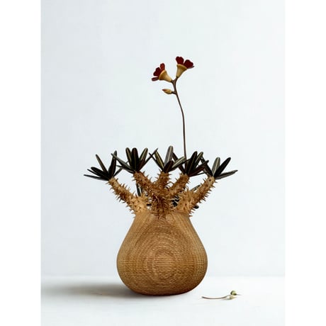 CATEGORY Bizarre Wood | MOCMOC wooden craft