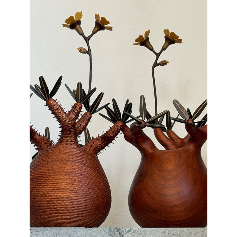 彫棘大】パキポディウム Pachypodium | MOCMOC wooden craft