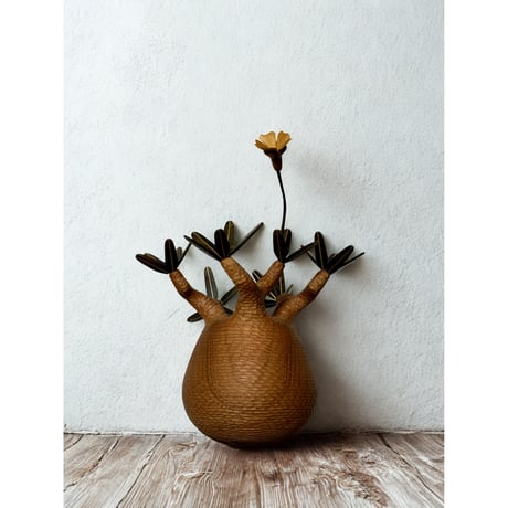 MOCMOC wooden craft