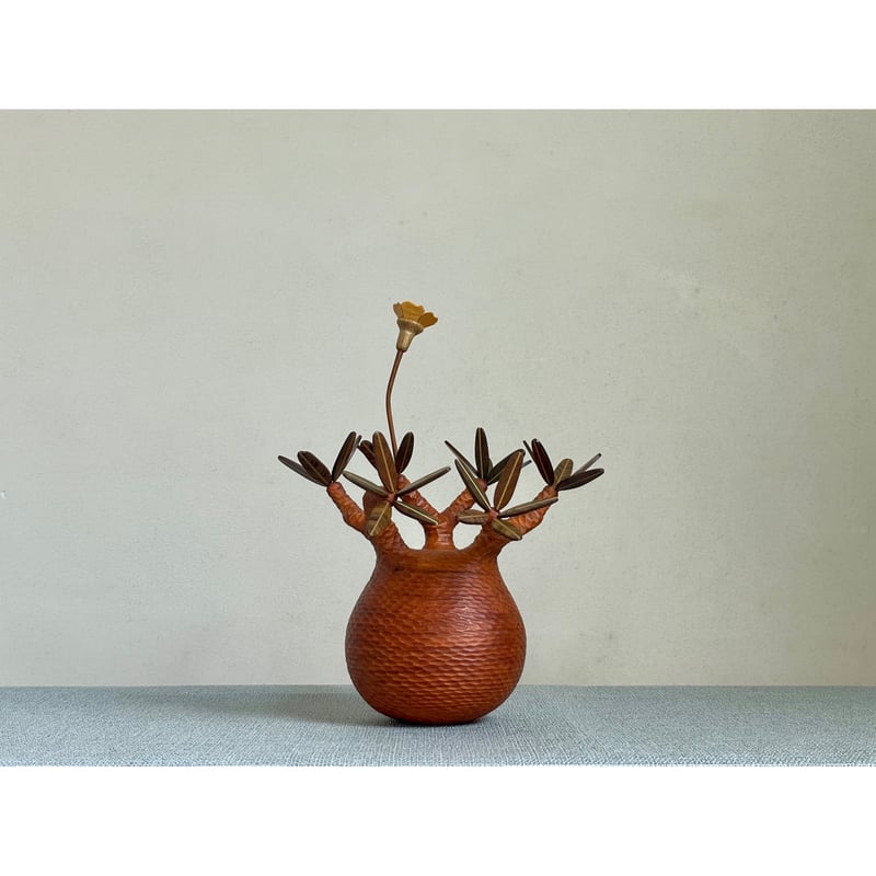 sizeS 彫り】パキポディウム Pachypodium | MOCMOC wooden