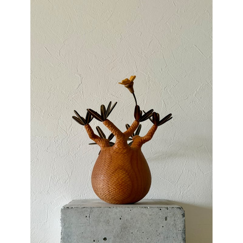 パキポディウム Pachypodium 彫り | MOCMOC wooden craft