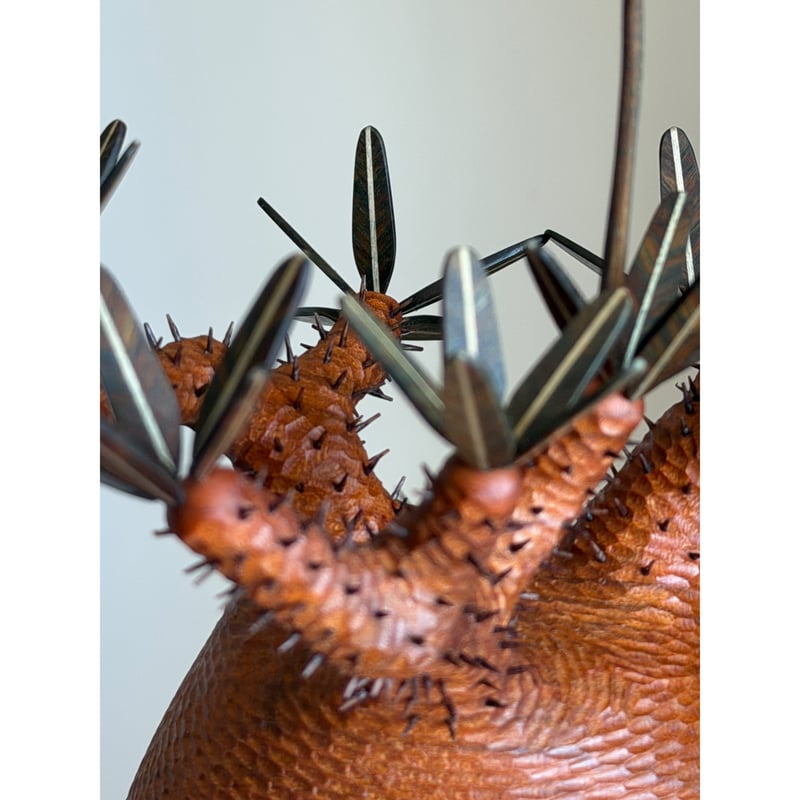 彫棘大】パキポディウム Pachypodium | MOCMOC wooden craft