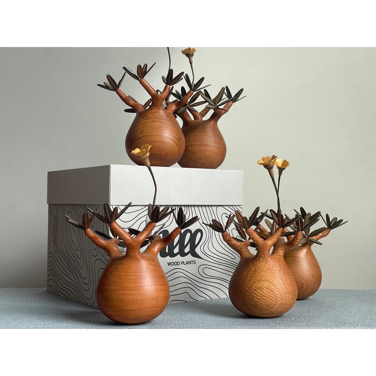 11【sizeS】パキポディウム Pachypodium | MOCMOC wooden c