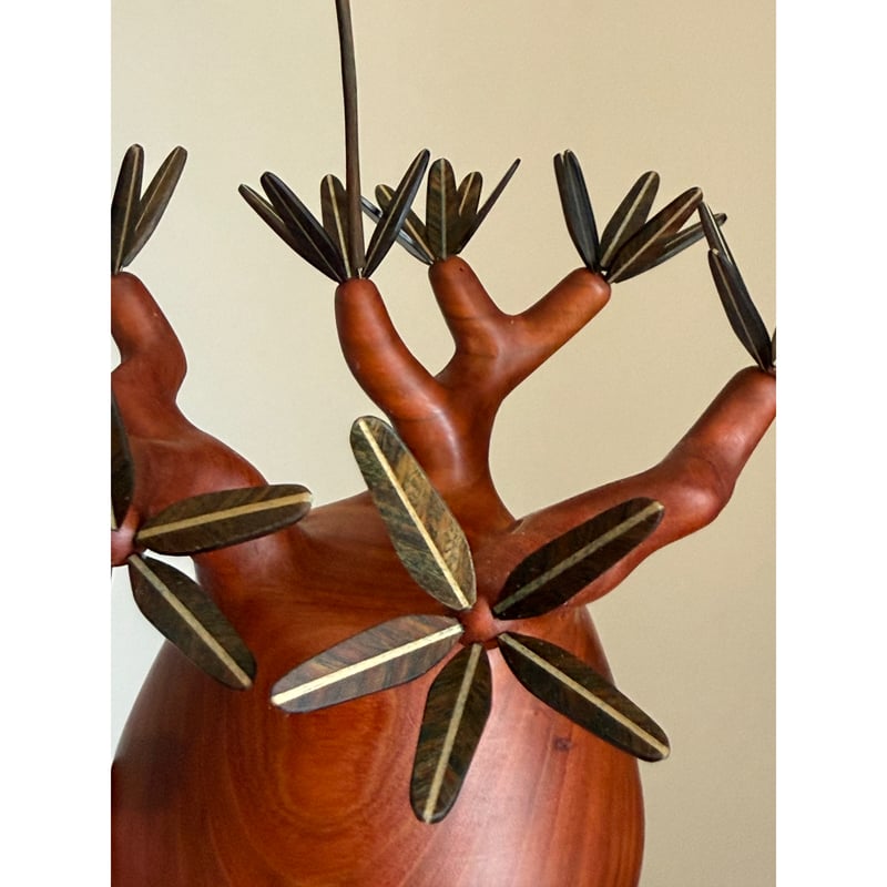 パキポディウム Pachypodium 大 | MOCMOC wooden craft