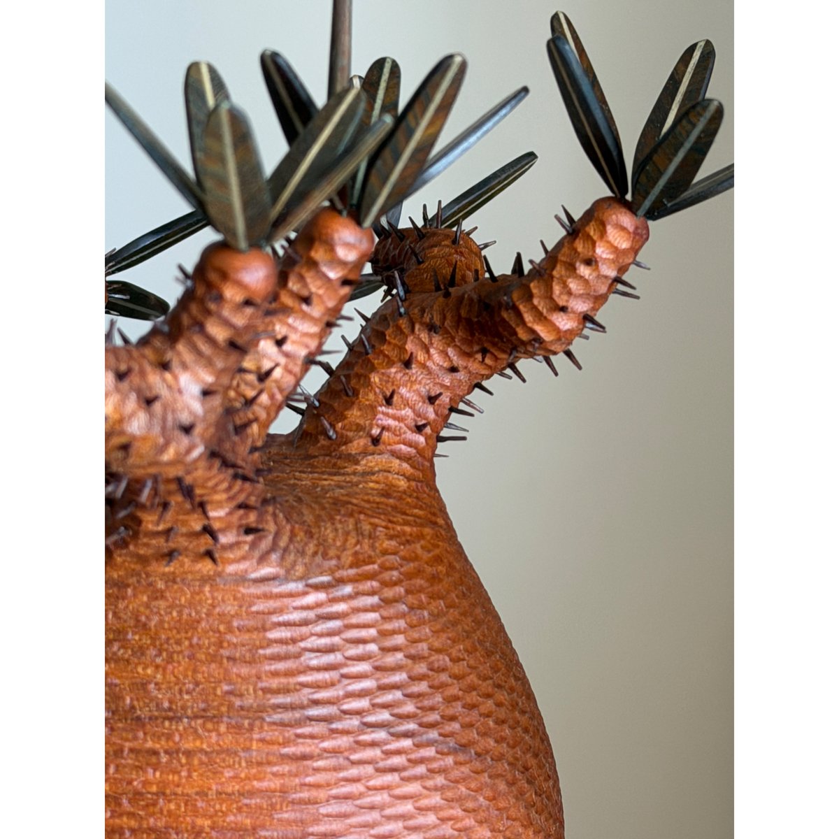 彫棘大】パキポディウム Pachypodium | MOCMOC wooden craft