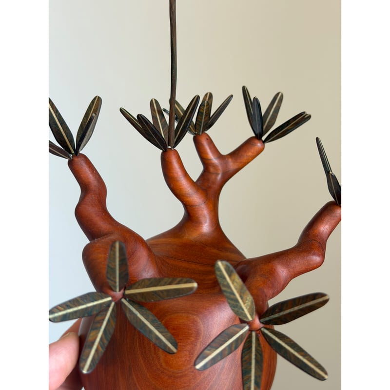 モバイルバウム　MOBILE BAUM　ハーモニーズ　量子加工 パキポディウム Pachypodium 大 | MOCMOC wooden craft