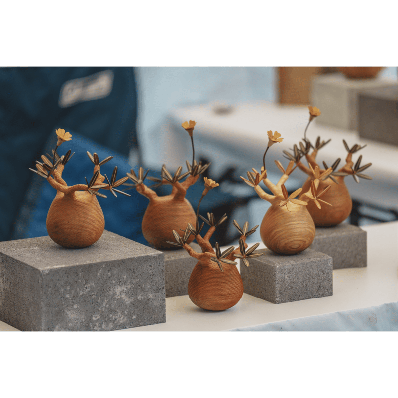 パキポディウム Pachypodium 彫り | MOCMOC wooden craft