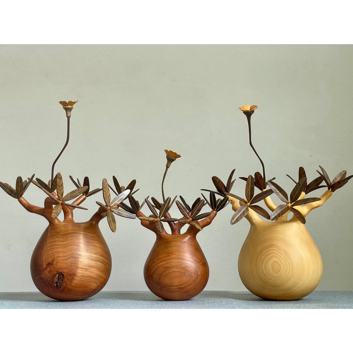 MOCMOC グラキリス sizeS 彫り】パキポディウム Pachypodium | MOCMOC wooden