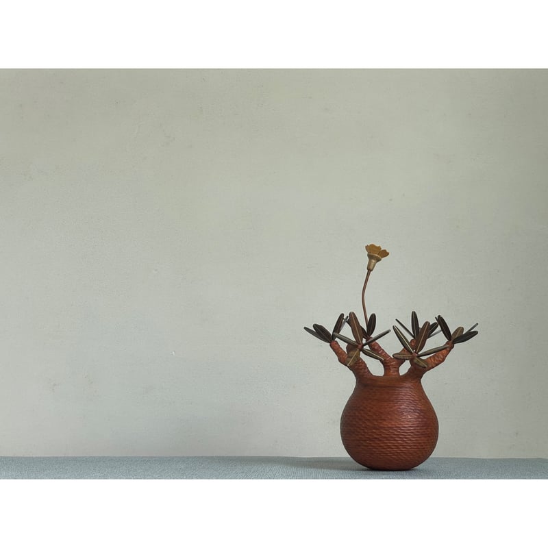 sizeS 彫り】パキポディウム Pachypodium | MOCMOC wooden