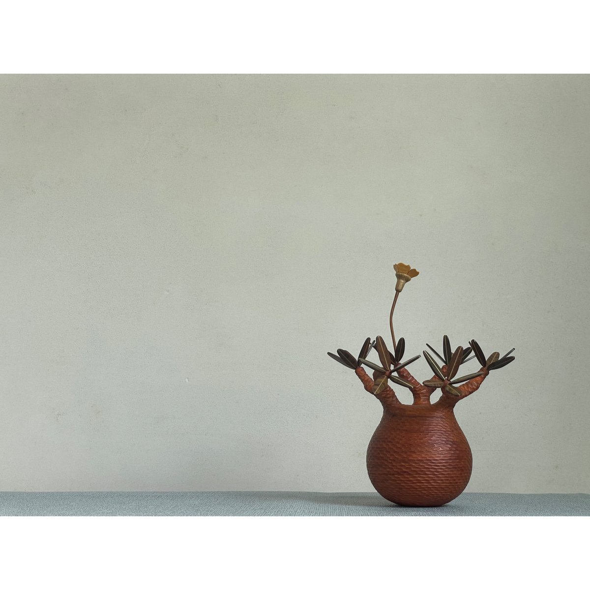 MOCMOC パキポディウム グラキリス　木製　※お値下げ可（ご相談にて） パキポディウム グラキリス-PG241 | Supervoid Caudex