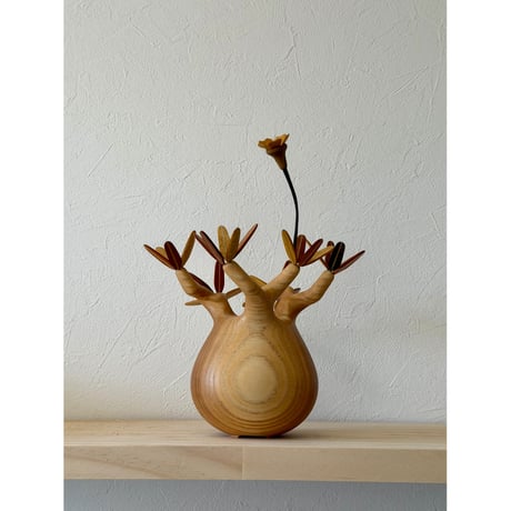 グラキリス | STORES